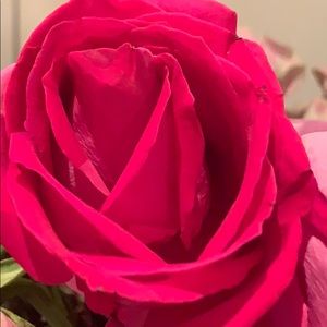 Meet your Posher, Kathleen